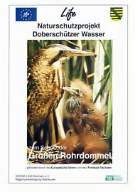 doberschuetzer_wasser