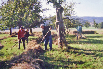 streuobstwiese_hochkirch